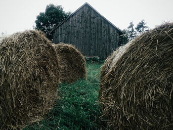 Hay bales on grassy field