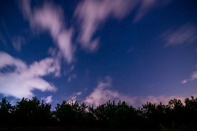 Low angle view of silhouetted trees against the sky at night