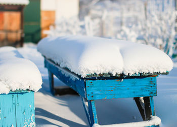 Close-up of frozen ice