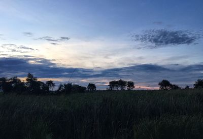 Scenic view of grassy field against sky