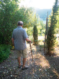 Rear view of man standing in forest