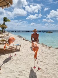 Man crouching on beach with flamingos