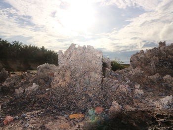 Rocks and trees on rock against sky