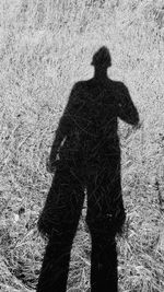 Shadow of man on field