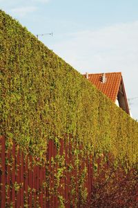 Panoramic view of vineyard against sky