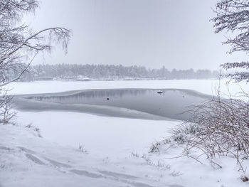 Unfrozen lake in the winter forest. black water and snowy brunches
