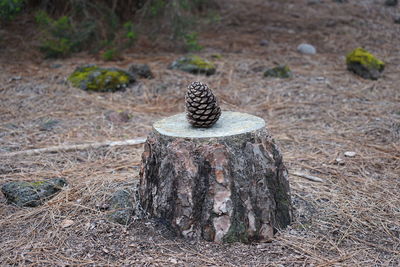 Close-up of stack of stones on field