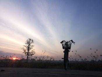 Street light by tree against sky during sunset