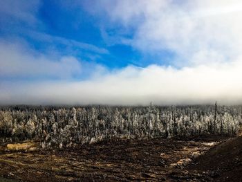 View of landscape against cloudy sky