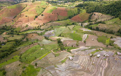 High angle view of agricultural field