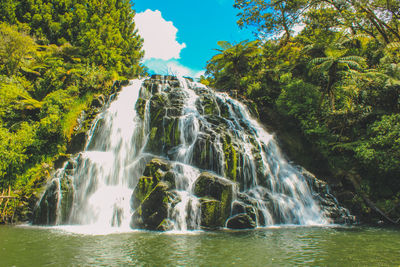 Scenic view of waterfall in forest