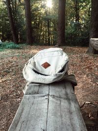 View of tree trunk in forest