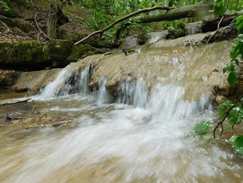 Scenic view of waterfall in forest