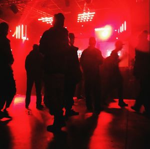 Silhouette of people at music concert