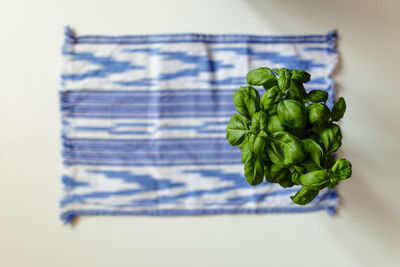 Close-up of food against white background