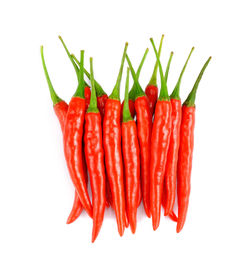 Close-up of red chili pepper against white background