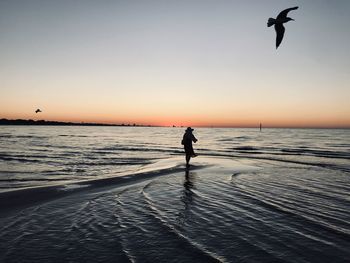 Silhouette woman standing while birds flying over beach during sunset