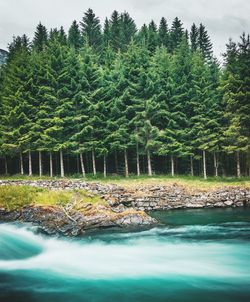 Scenic view of waterfall in forest against sky