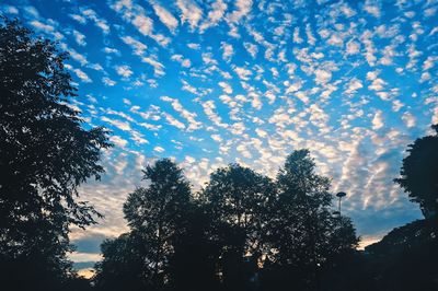 Low angle view of silhouette trees against sky