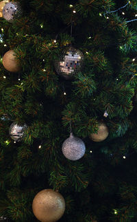 Close-up of illuminated christmas tree