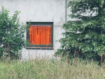 Exterior of house on field against building