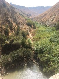 Scenic view of landscape against mountains