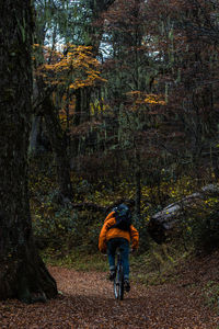 Rear view of man riding bicycle in forest