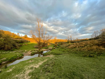 Scenic view of landscape against sky