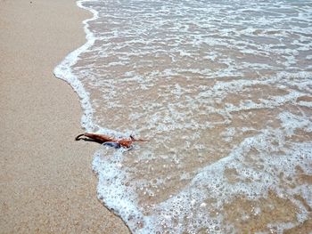 High angle view of person on beach