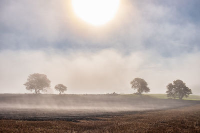 Scenic view of field against sky during foggy weather