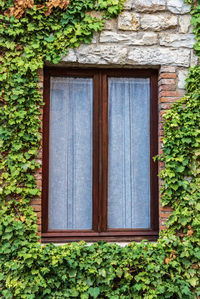 Closed window of house