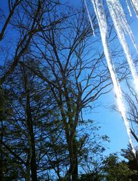 Low angle view of bare trees against sky