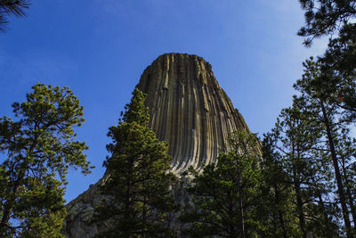 Low angle view of trees against blue sky