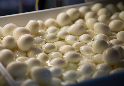Close-up of pills