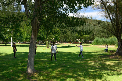 People playing in park