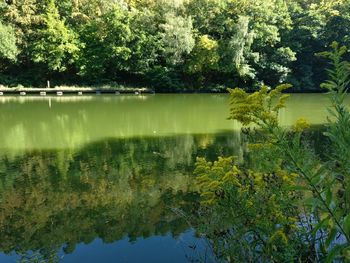 Scenic view of lake by trees against sky