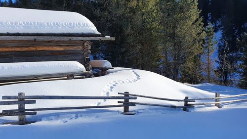 Snow covered field