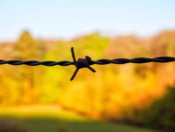 Close-up of barbed wire fence on field against sky