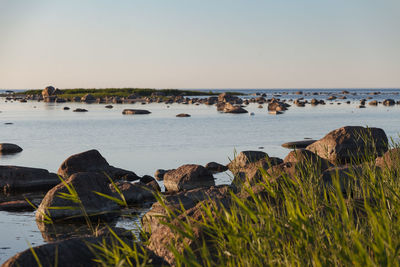 Scenic view of sea against clear sky
