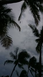 Low angle view of palm tree against sky