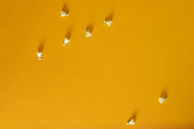 Low angle view of water drops on orange wall