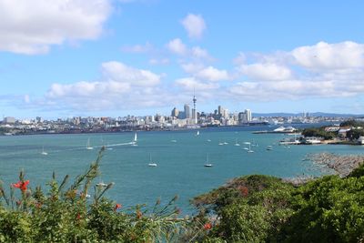 Scenic view of sea against city buildings