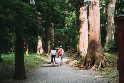 Rear view of people walking on footpath amidst trees in forest