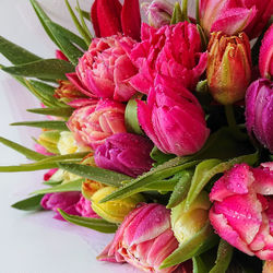 Close-up of pink rose bouquet