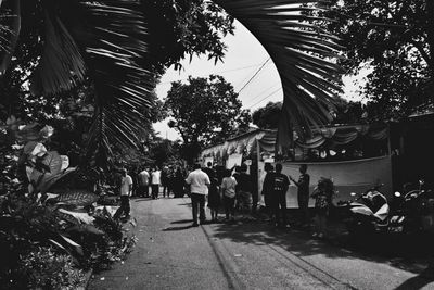 People walking on palm trees