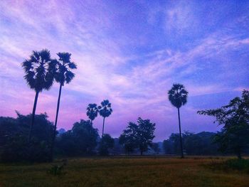 Silhouette trees on field against sky at sunset