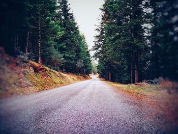 Road amidst trees against sky