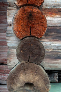 Close-up of logs in forest