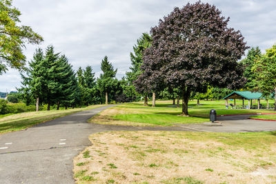 Road amidst trees and plants against sky