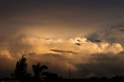 Low angle view of silhouette trees against sky at sunset